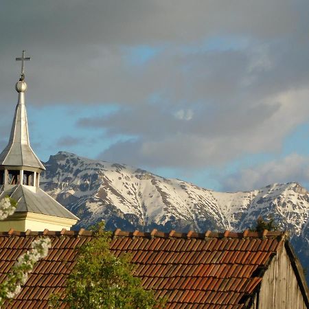 Mountain Vista Suites Zărneşti Eksteriør billede