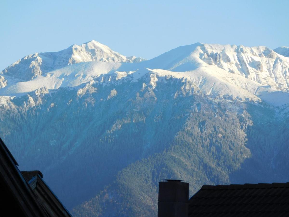 Mountain Vista Suites Zărneşti Eksteriør billede
