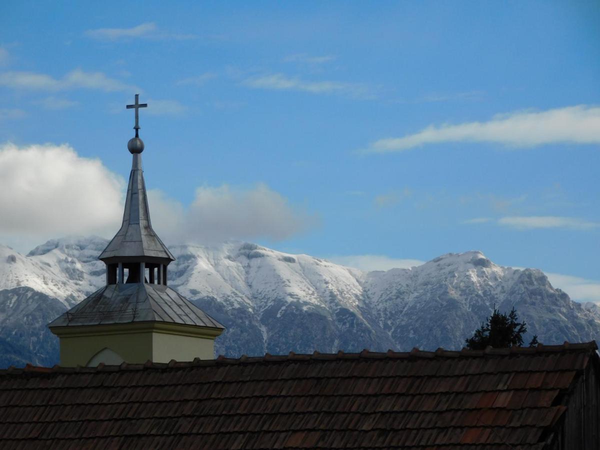 Mountain Vista Suites Zărneşti Eksteriør billede