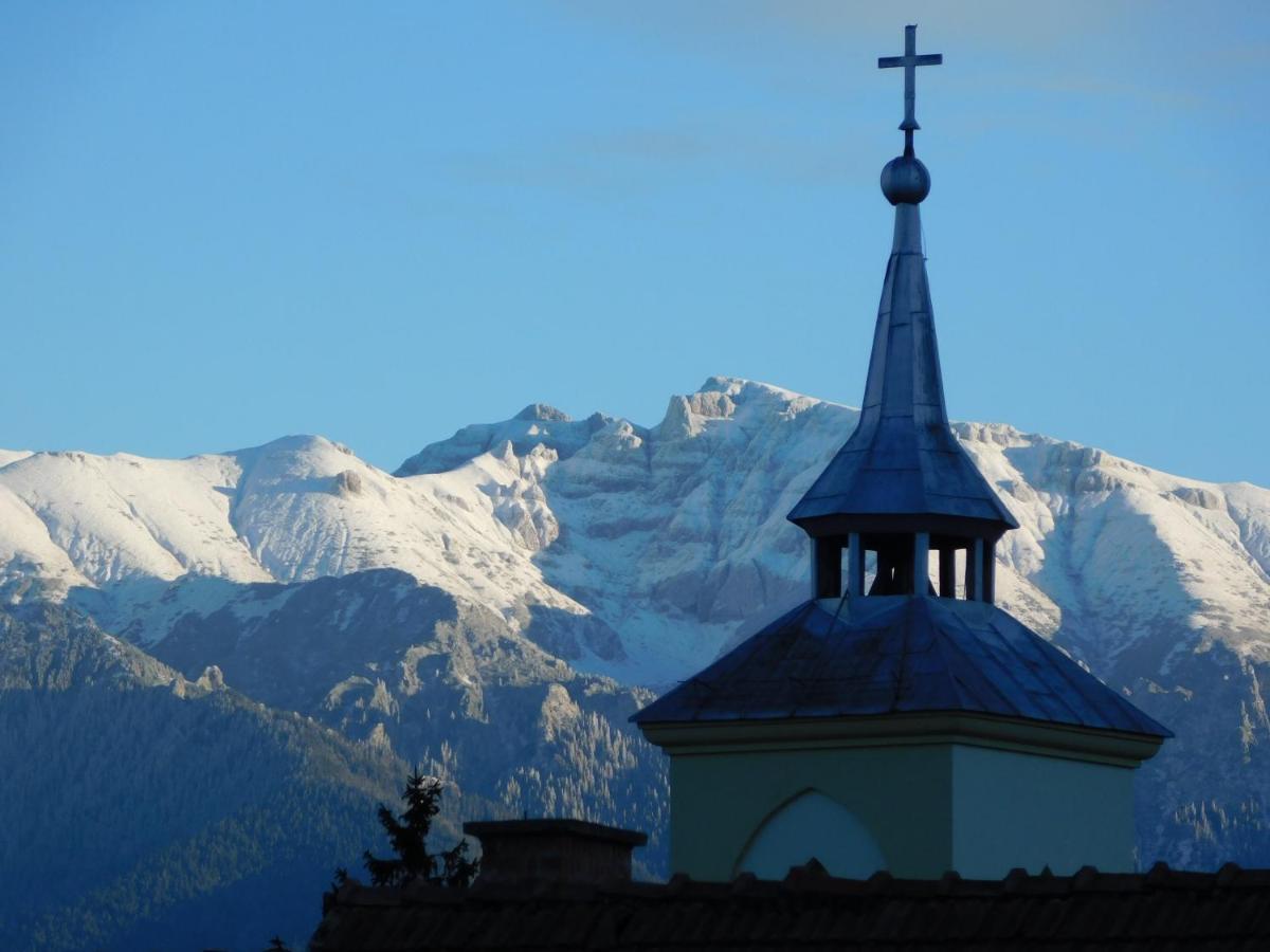 Mountain Vista Suites Zărneşti Eksteriør billede