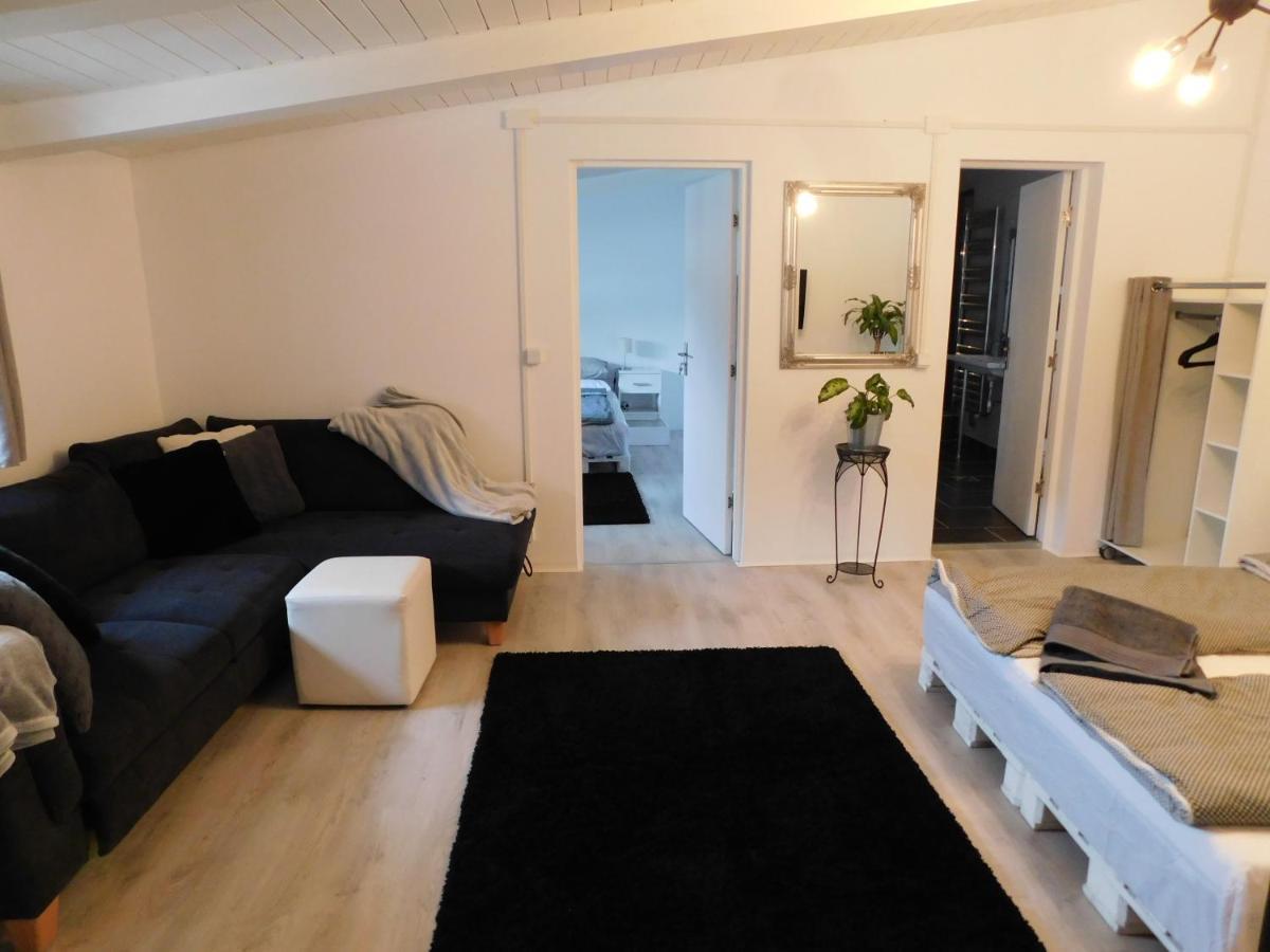 Mountain Vista Suites Zărneşti Eksteriør billede