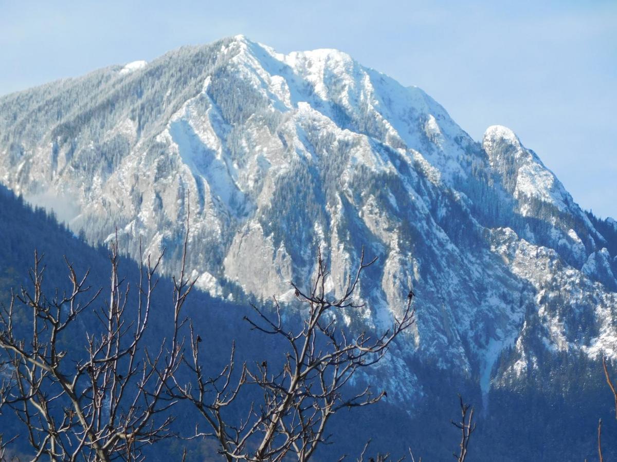 Mountain Vista Suites Zărneşti Eksteriør billede