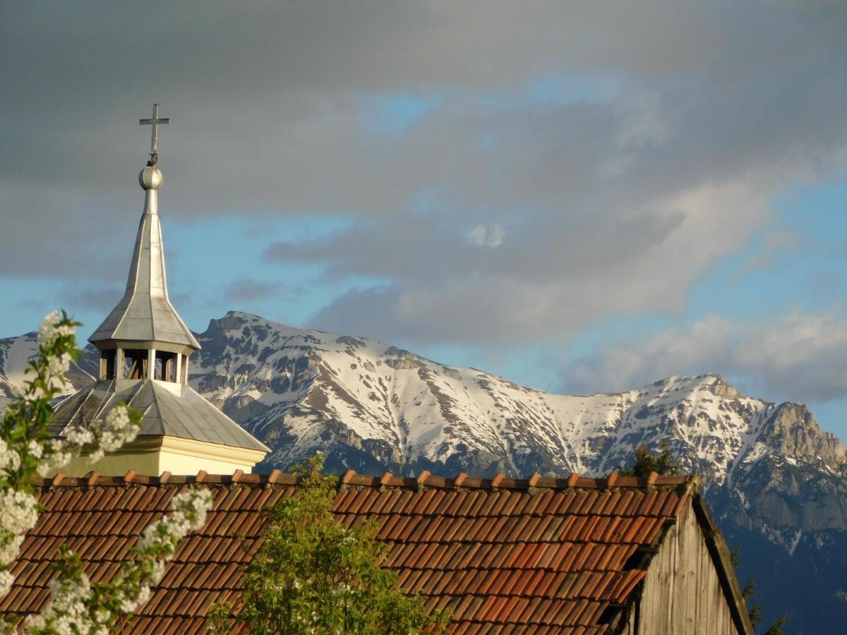 Mountain Vista Suites Zărneşti Eksteriør billede