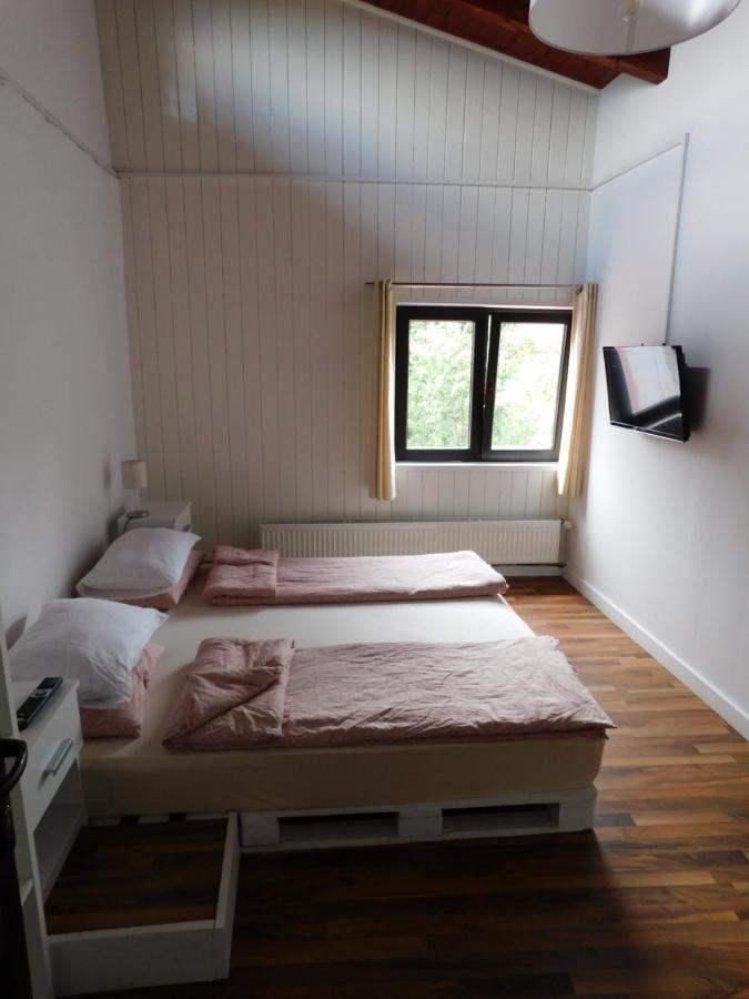 Mountain Vista Suites Zărneşti Eksteriør billede